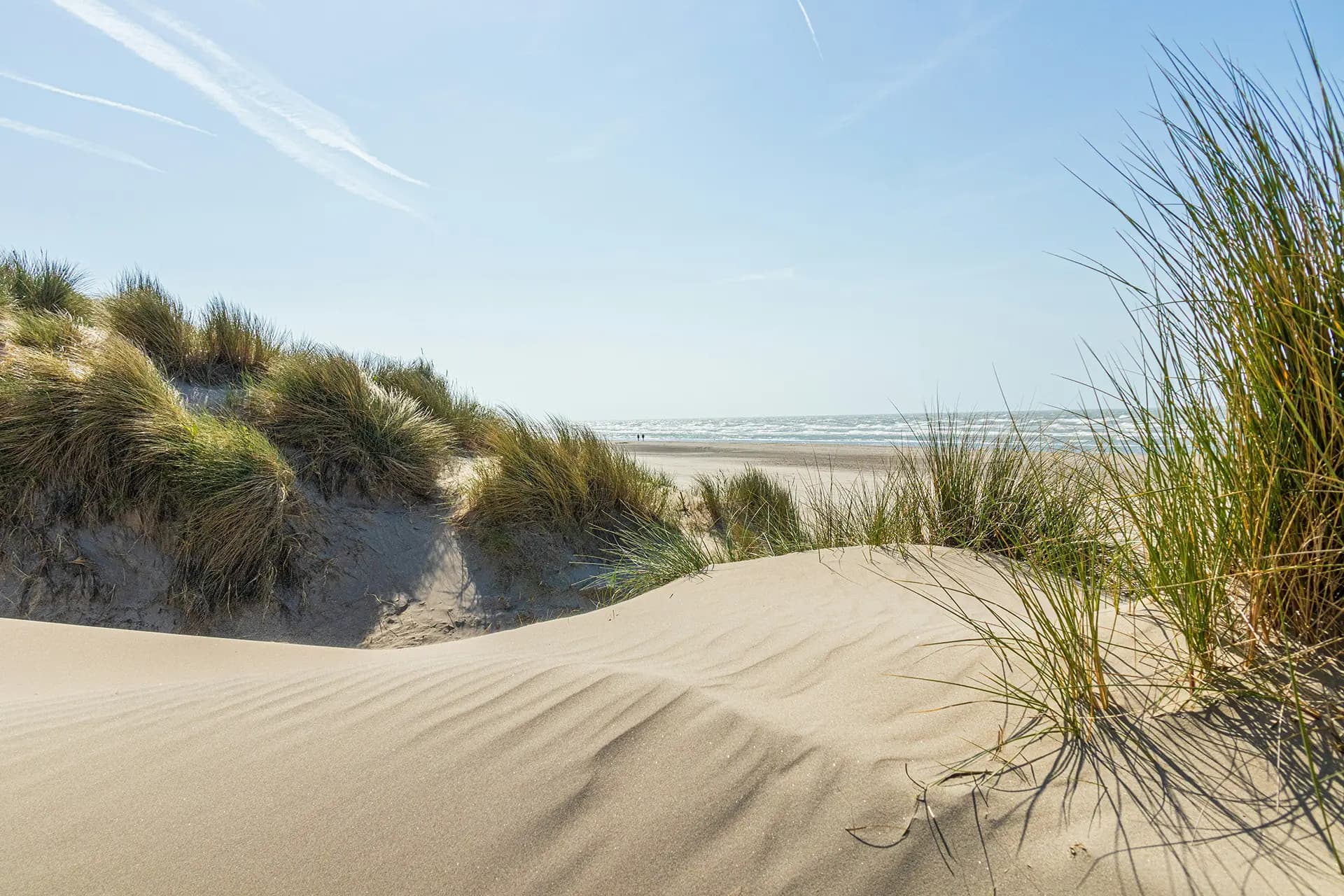 Strand und Dünen von Sankt Peter-Ording