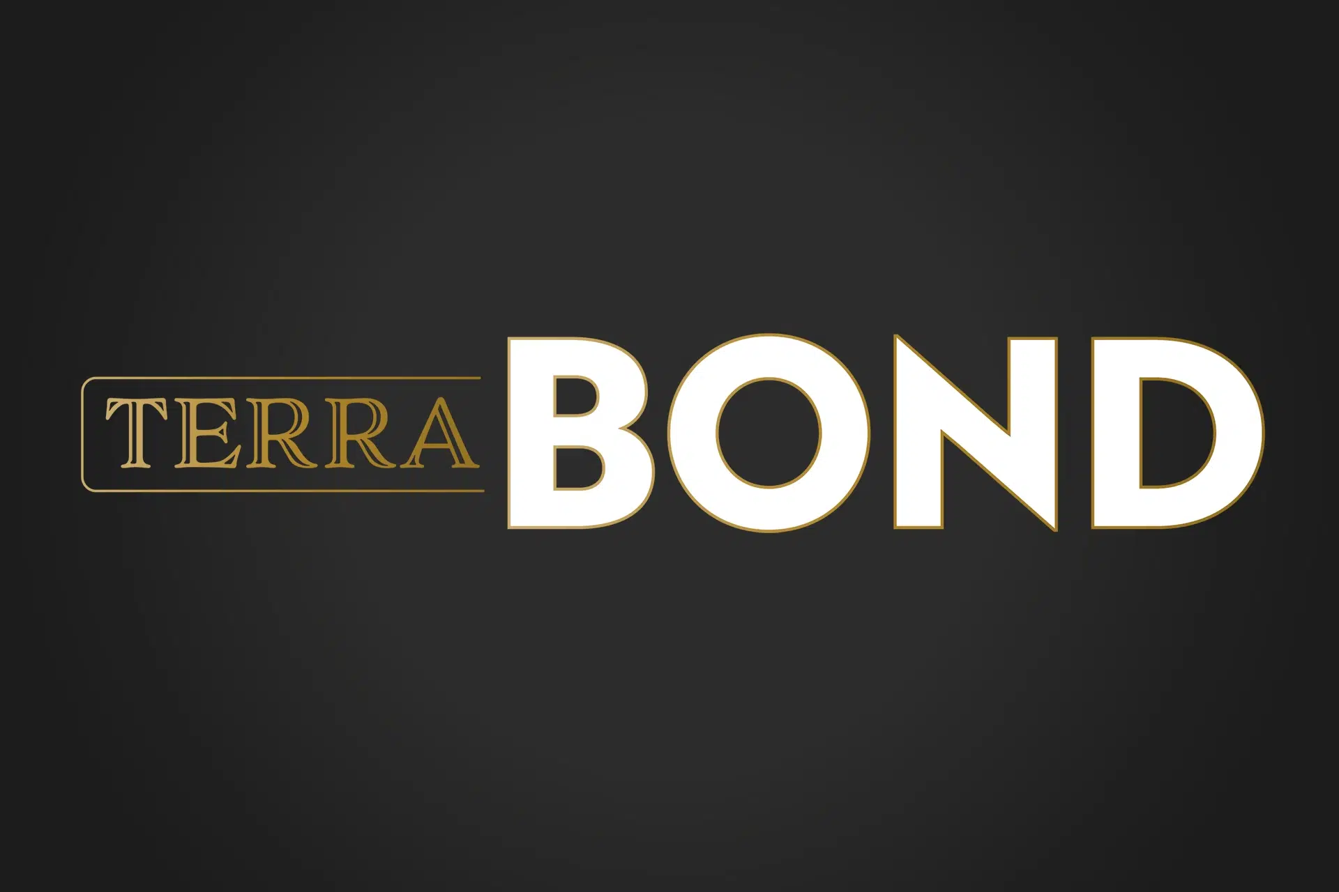 Terra BOND — Armierungsmörtel